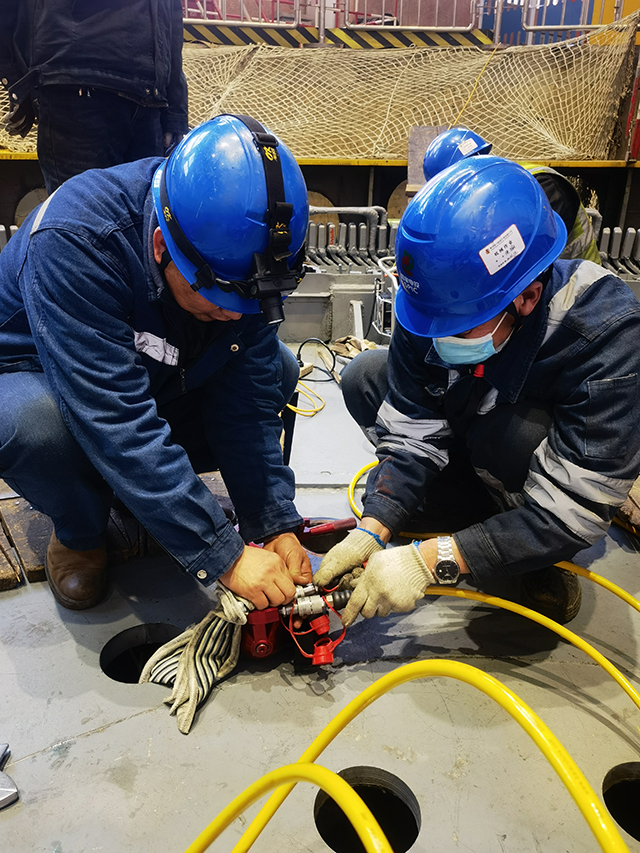 Maintenance of CANTORC d